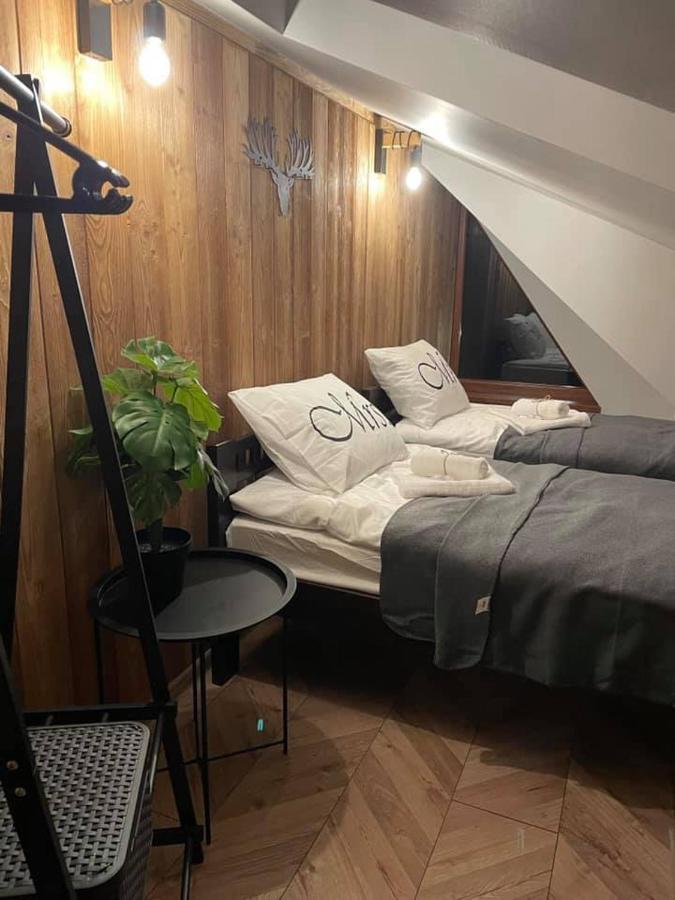Apartamenty Miejscowka - Apartamenty Z Widokiem Na Gory - Bezplatny Parking ザコパネ エクステリア 写真