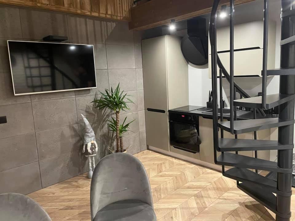 Apartamenty Miejscowka - Apartamenty Z Widokiem Na Gory - Bezplatny Parking ザコパネ エクステリア 写真