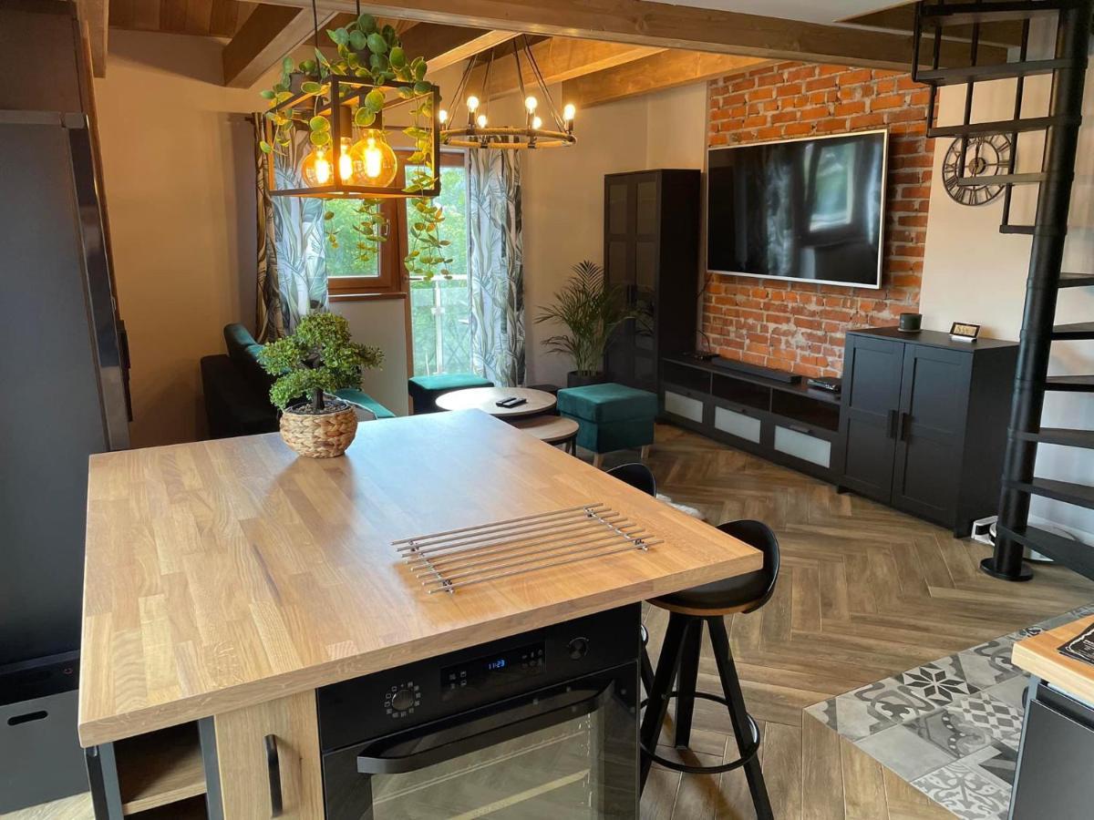 Apartamenty Miejscowka - Apartamenty Z Widokiem Na Gory - Bezplatny Parking ザコパネ エクステリア 写真